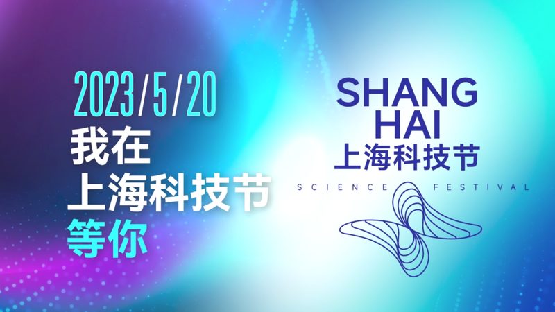 知识图谱问答系统：剖析其优缺点
